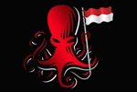 Octopus Indonesia